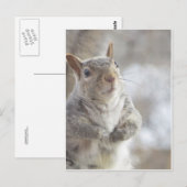 Eichhörnchen Postkarte (Vorne/Hinten)