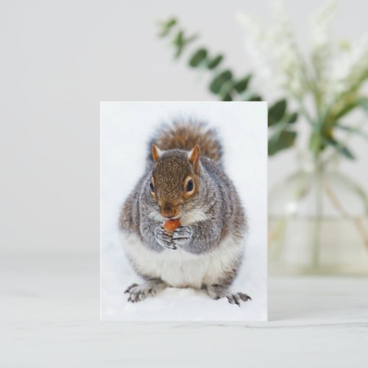 Eichhörnchen Postkarte (Stehend Vorderseite)