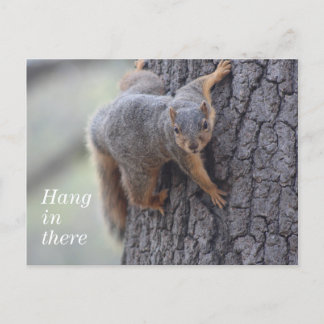 Eichhörnchen Postkarte