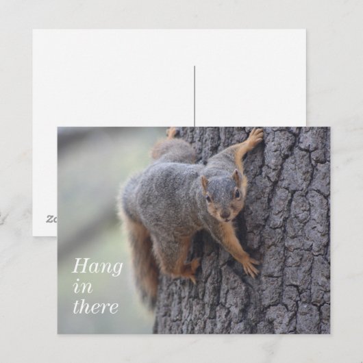 Eichhörnchen Postkarte (Vorne/Hinten)