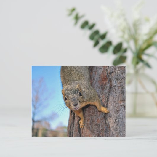 Eichhörnchen! Postkarte (Stehend Vorderseite)