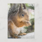 Eichhörnchen Postkarte (Vorderseite)