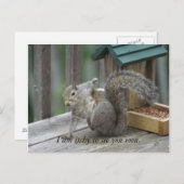 Eichhörnchen Postkarte (Vorne/Hinten)