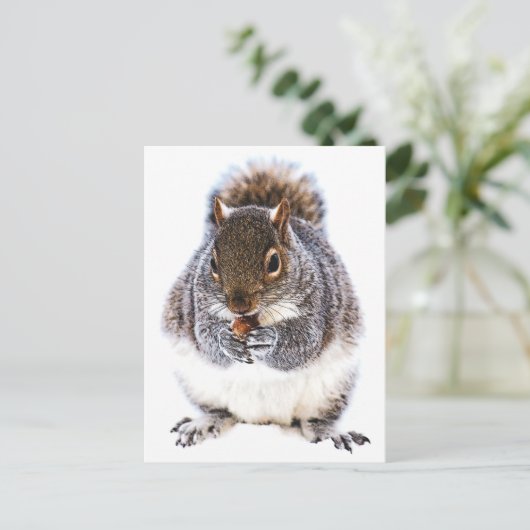 Eichhörnchen Postkarte (Stehend Vorderseite)