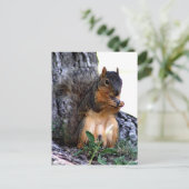 Eichhörnchen Postkarte (Stehend Vorderseite)