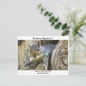 Eichhörnchen! Postkarte (Stehend Vorderseite)