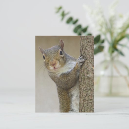 Eichhörnchen Postkarte (Stehend Vorderseite)