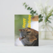Eichhörnchen Postkarte (Stehend Vorderseite)