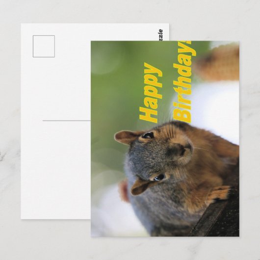 Eichhörnchen Postkarte (Vorne/Hinten)
