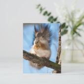 Eichhörnchen Postkarte (Stehend Vorderseite)