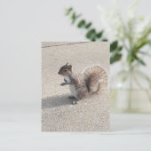 Eichhörnchen Postkarte (Stehend Vorderseite)