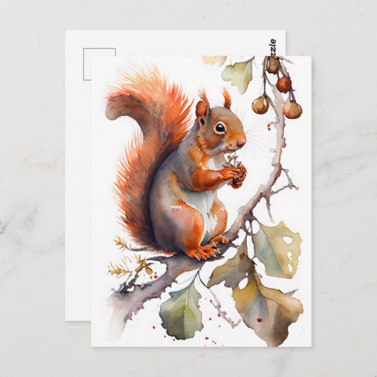 Eichhörnchen Postkarte (Vorne/Hinten)