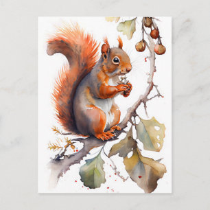 Eichhörnchen Postkarte