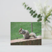 Eichhörnchen Postkarte (Stehend Vorderseite)