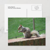 Eichhörnchen Postkarte (Vorne/Hinten)