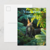 Eichhörnchen Postkarte (Vorne/Hinten)