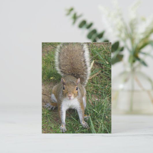 Eichhörnchen Postkarte (Stehend Vorderseite)