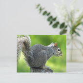 Eichhörnchen Postkarte (Stehend Vorderseite)
