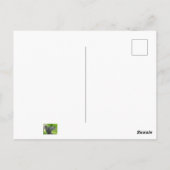 Eichhörnchen Postkarte (Rückseite)