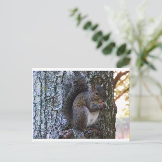 Eichhörnchen Postkarte (Stehend Vorderseite)