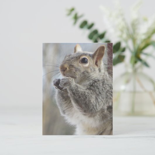 Eichhörnchen Postkarte (Stehend Vorderseite)