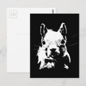 Eichhörnchen Postkarte (Vorne/Hinten)