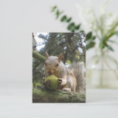 Eichhörnchen Postkarte (Stehend Vorderseite)