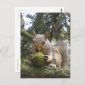 Eichhörnchen Postkarte (Vorne/Hinten)