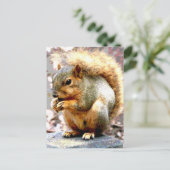 Eichhörnchen Postkarte (Stehend Vorderseite)