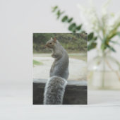 Eichhörnchen Postkarte (Stehend Vorderseite)