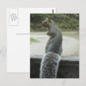 Eichhörnchen Postkarte (Vorne/Hinten)
