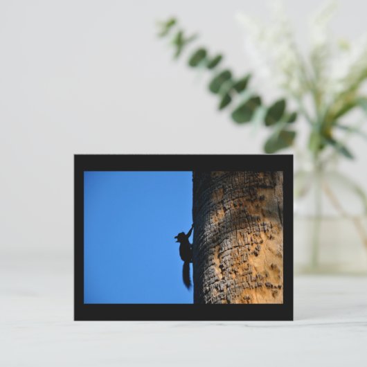 Eichhörnchen Postkarte (Stehend Vorderseite)