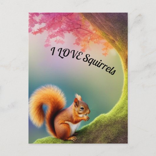 Eichhörnchen Postkarte (Vorderseite)