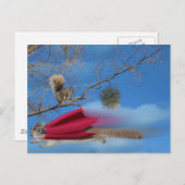 Eichhörnchen Postkarte (Vorne/Hinten)