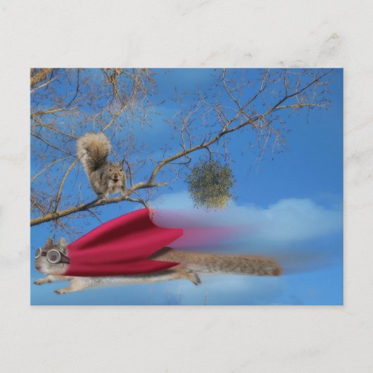 Eichhörnchen Postkarte (Vorderseite)