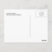 Eichhörnchen Postkarte (Rückseite)