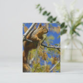 Eichhörnchen Postkarte (Stehend Vorderseite)