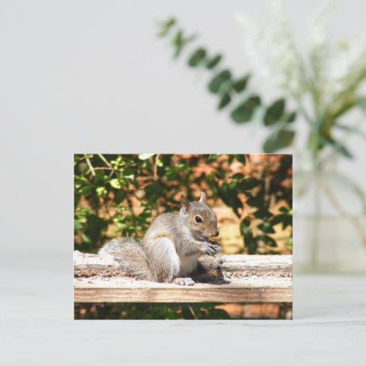 Eichhörnchen Postkarte (Stehend Vorderseite)