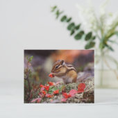 Eichhörnchen Postkarte (Stehend Vorderseite)