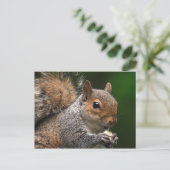 Eichhörnchen Postkarte (Stehend Vorderseite)