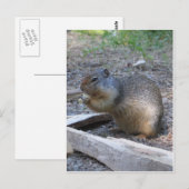 Eichhörnchen Postkarte (Vorne/Hinten)