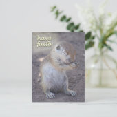 Eichhörnchen-Postkarte Postkarte (Stehend Vorderseite)