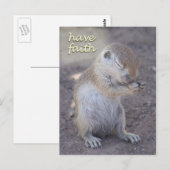 Eichhörnchen-Postkarte Postkarte (Vorne/Hinten)