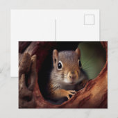 Eichhörnchen-Postkarte Postkarte (Vorne/Hinten)
