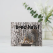 Eichhörnchen-Postkarten Postkarte (Stehend Vorderseite)