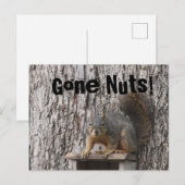 Eichhörnchen-Postkarten Postkarte (Vorne/Hinten)