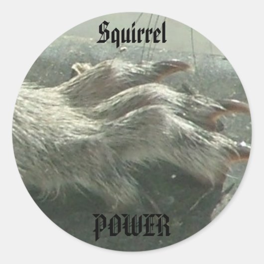 Eichhörnchen-Power Runder Aufkleber (Vorderseite)