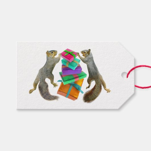 Eichhörnchen präsentiert Gift Tags Geschenkanhänger (Vorderseite (Horizontal))