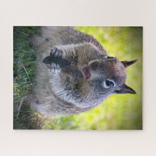 Eichhörnchen Puzzle (Horizontal)