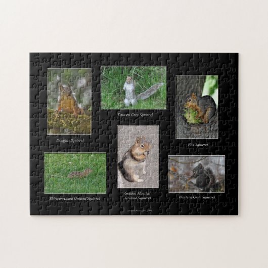 Eichhörnchen! Puzzle (Horizontal)